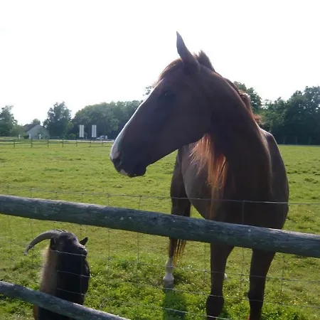 Hotel Domaine Du Normandoux, The Originals Relais